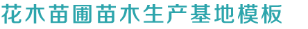 k8官网