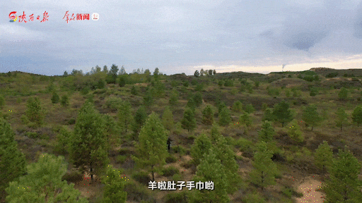 陕西榆林：厚植生态底色 提升经济成色